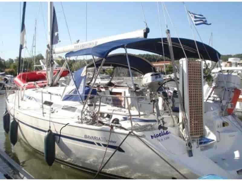 Photo of Noelle, image 1 of 5